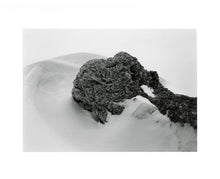 RADIUS - Special Edition