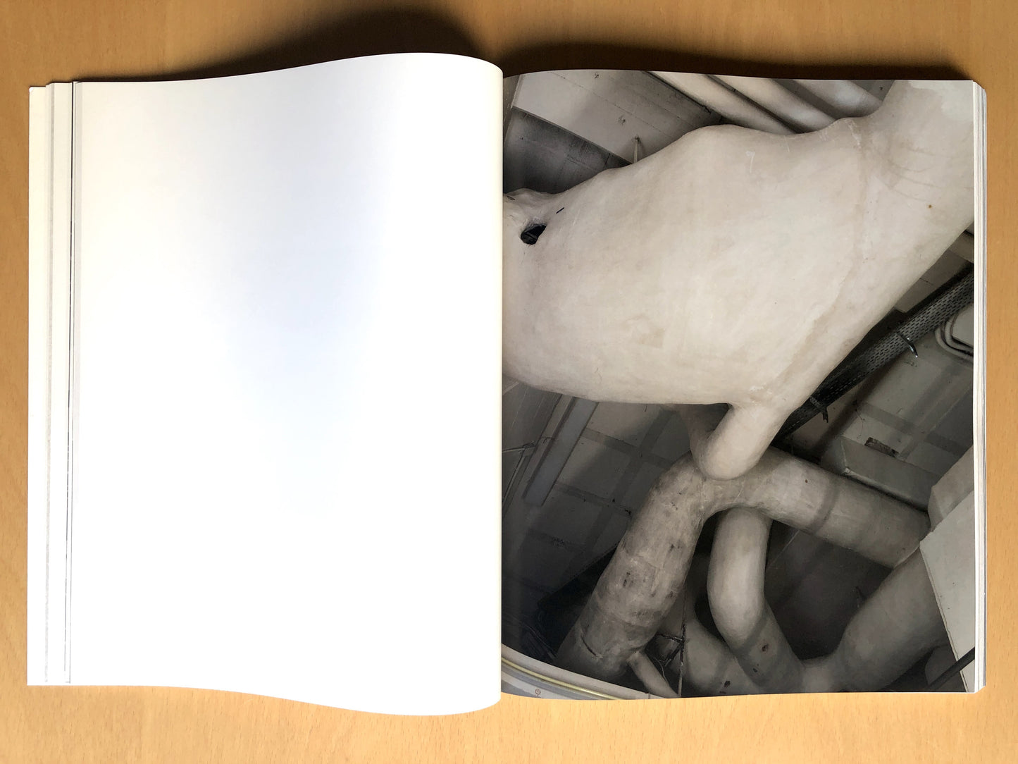 LESSMORE [Signed]
