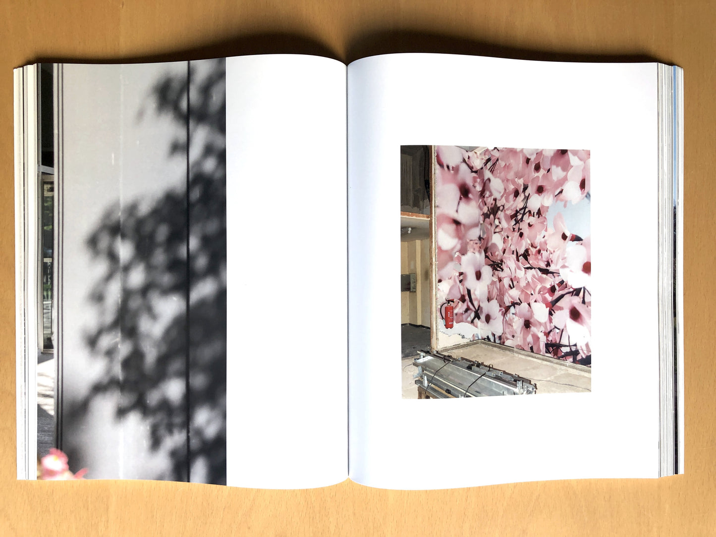 LESSMORE [Signed]
