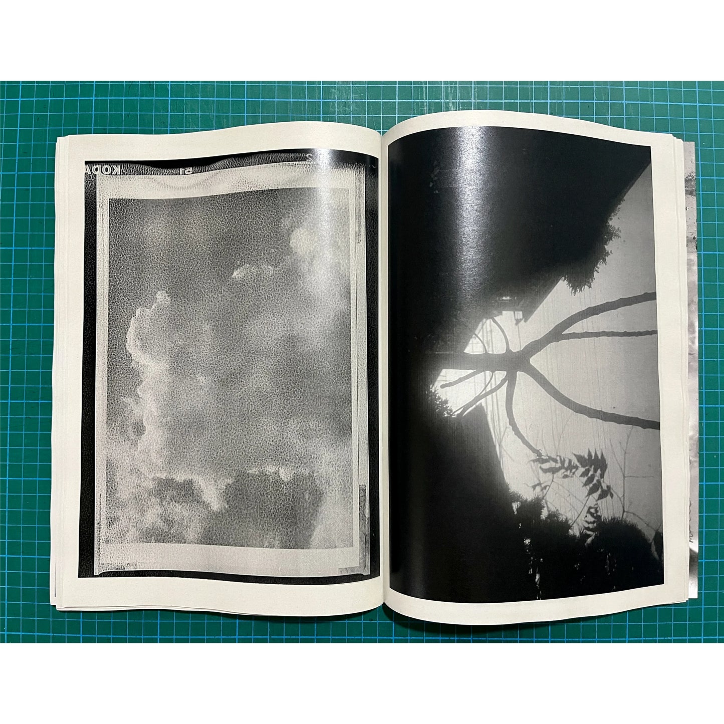 Matter [Signed]