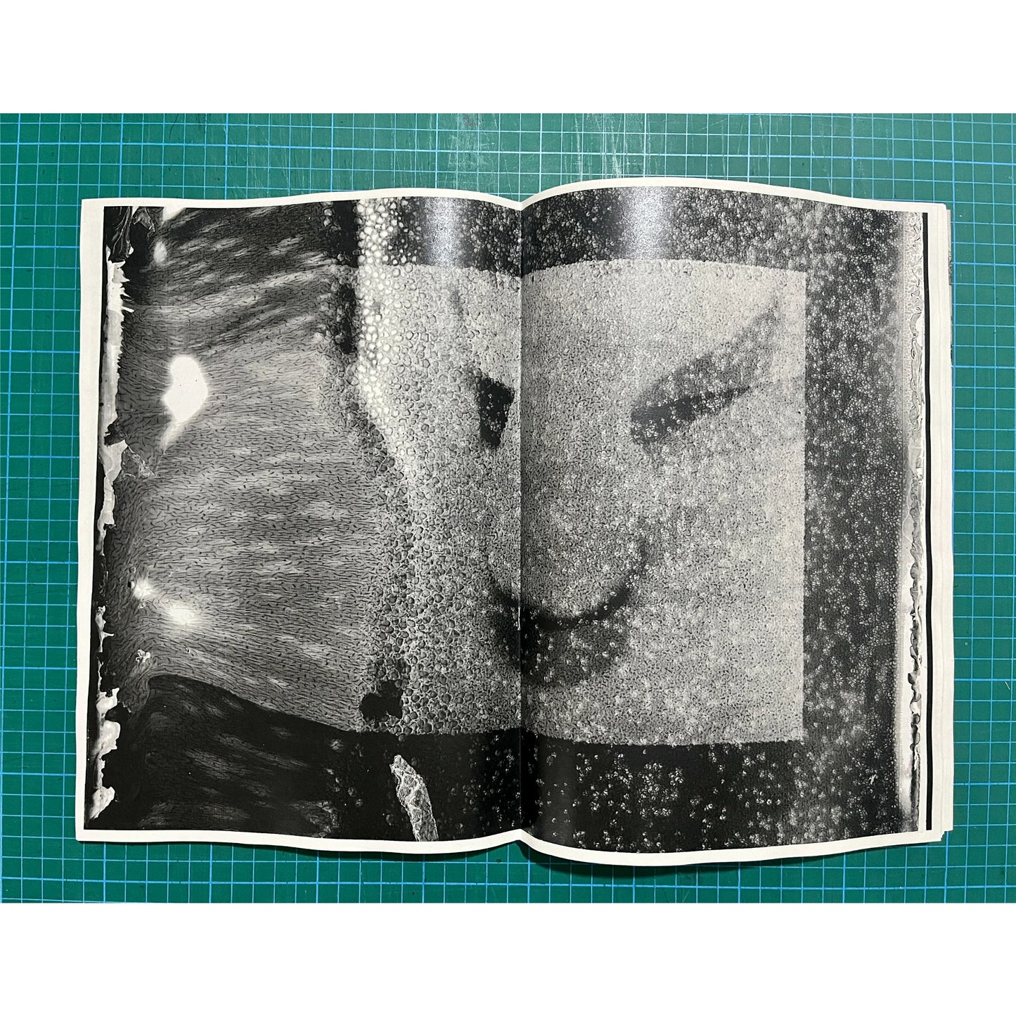 Matter [Signed]