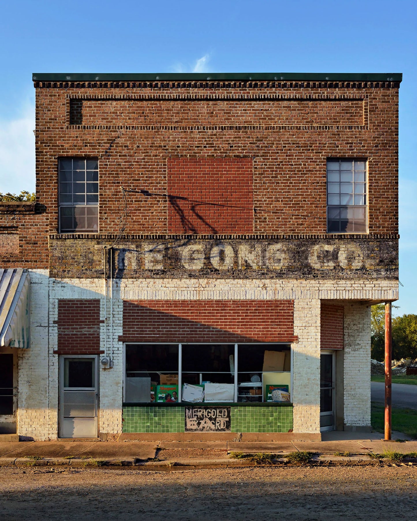Gong Co. - Special Edition