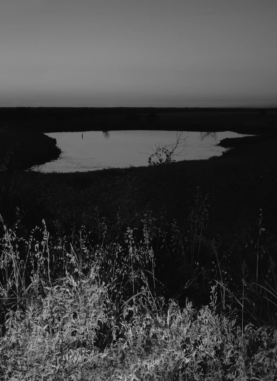 County Road - First Edition