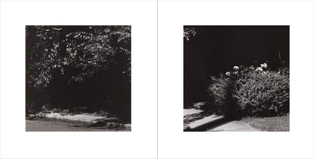 Summer Nights, Walking – Kominek