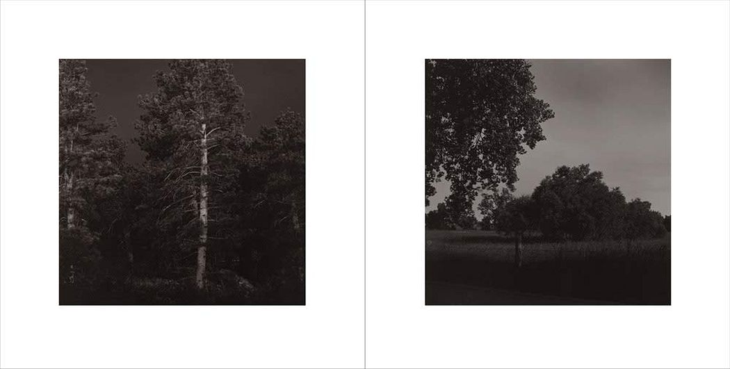 Summer Nights, Walking – Kominek