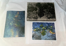 Plants, middle reaches of Tama River, winter - Special Edition