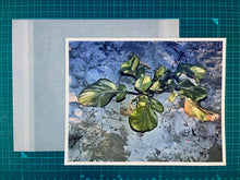 Plants, middle reaches of Tama River, winter - Special Edition