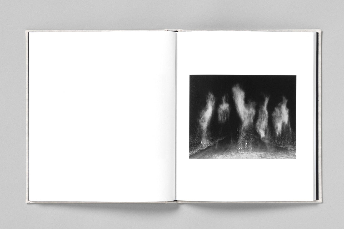 AT NIGHT GARDENS GROW [Signed]