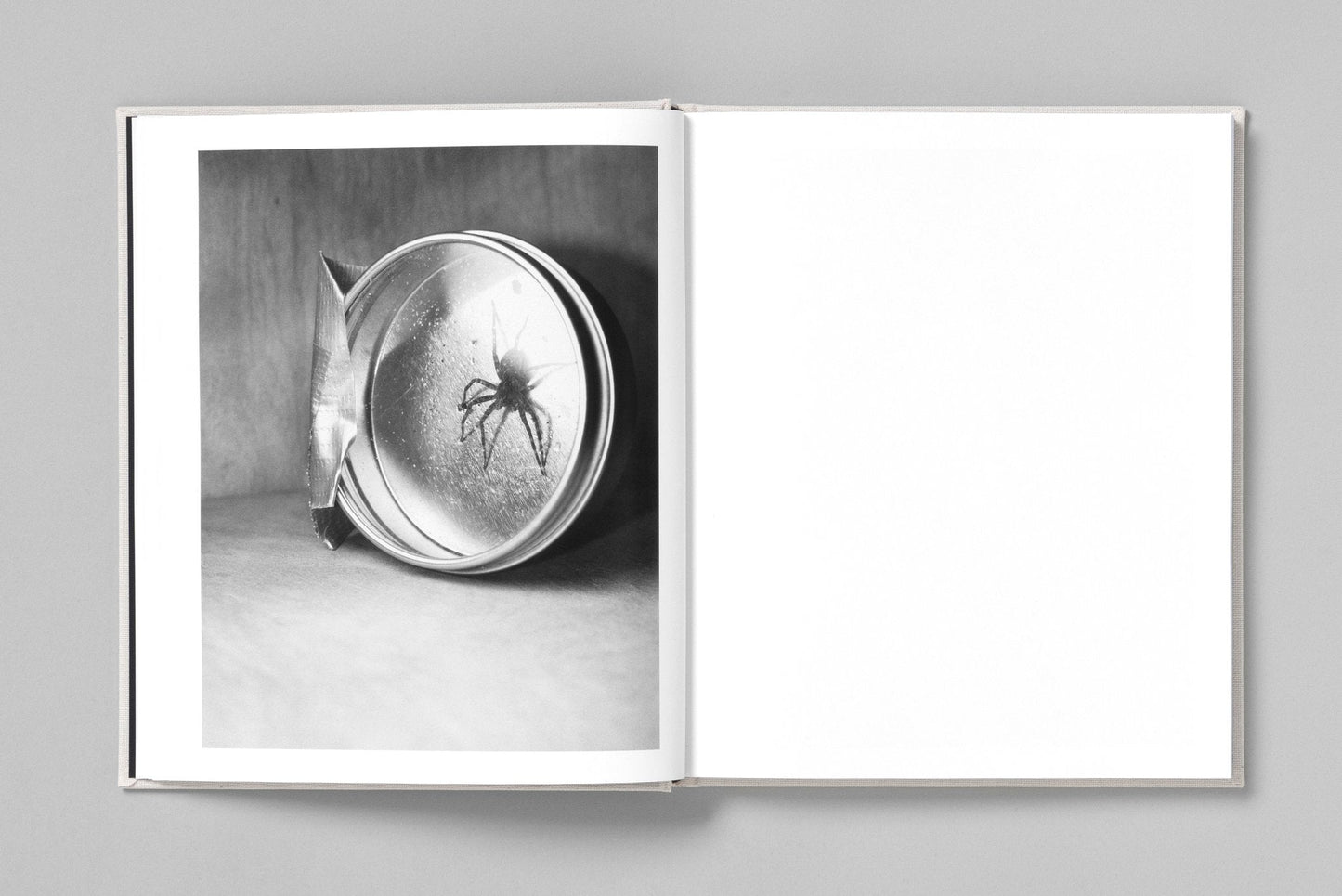 AT NIGHT GARDENS GROW [Signed]
