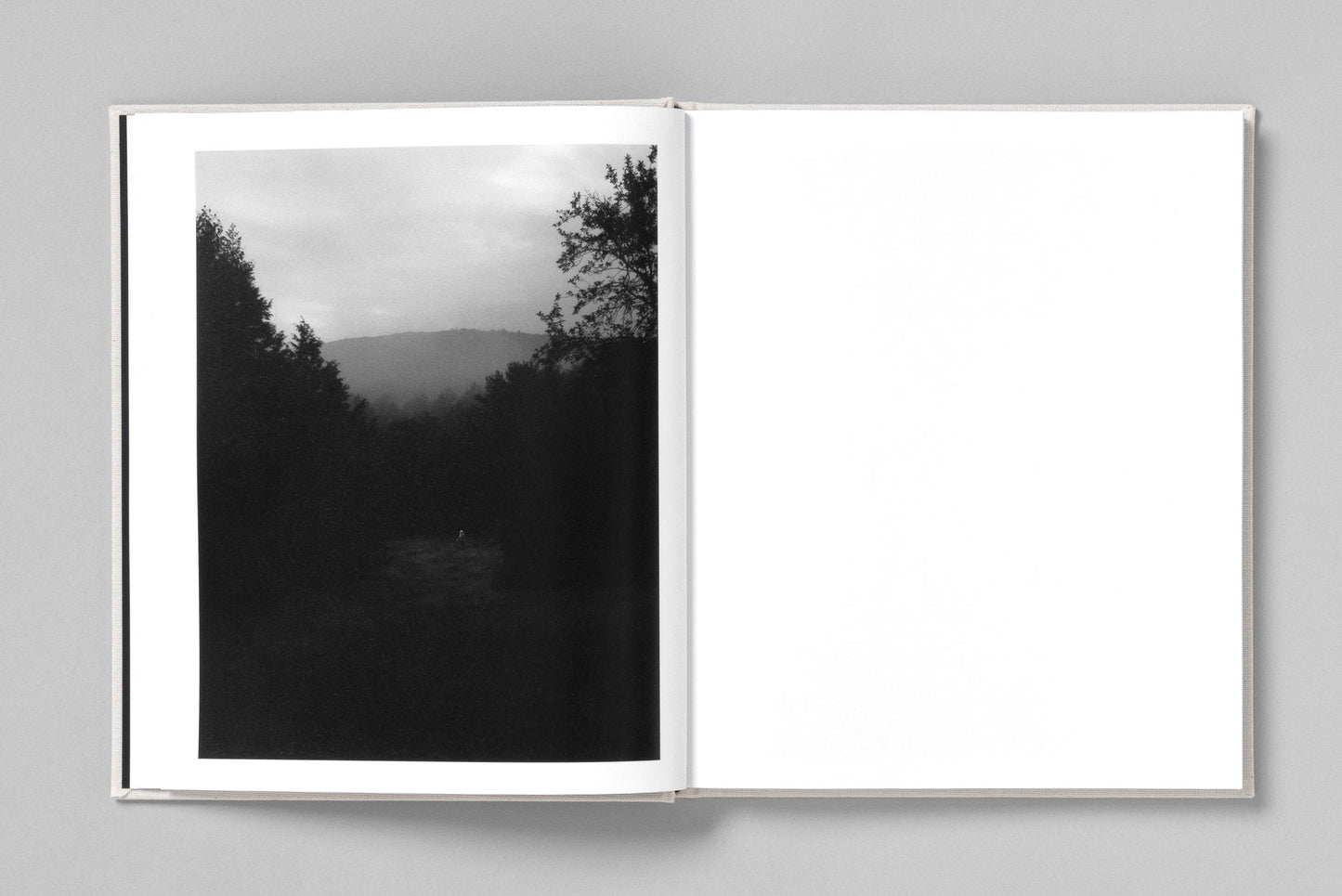 AT NIGHT GARDENS GROW [Signed]