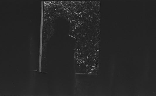 The reunion — Edra Galzeran