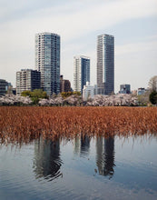 Ueno park