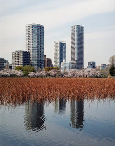 Ueno park