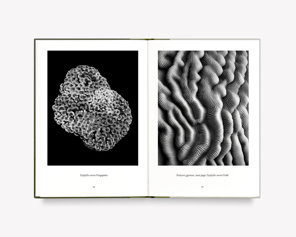 What Darwin Missed, Teil III [Signed]