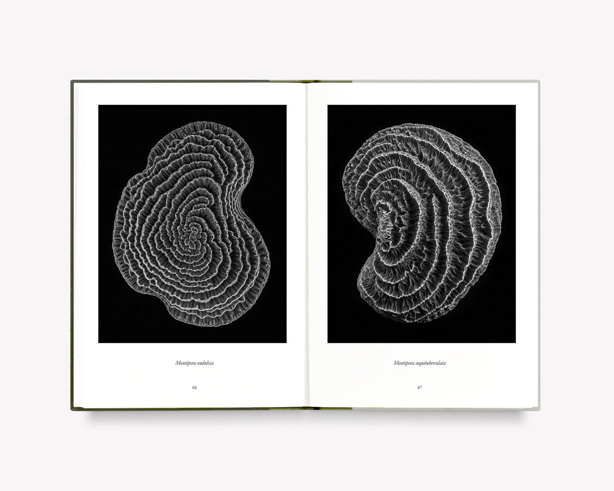What Darwin Missed, Teil III [Signed]