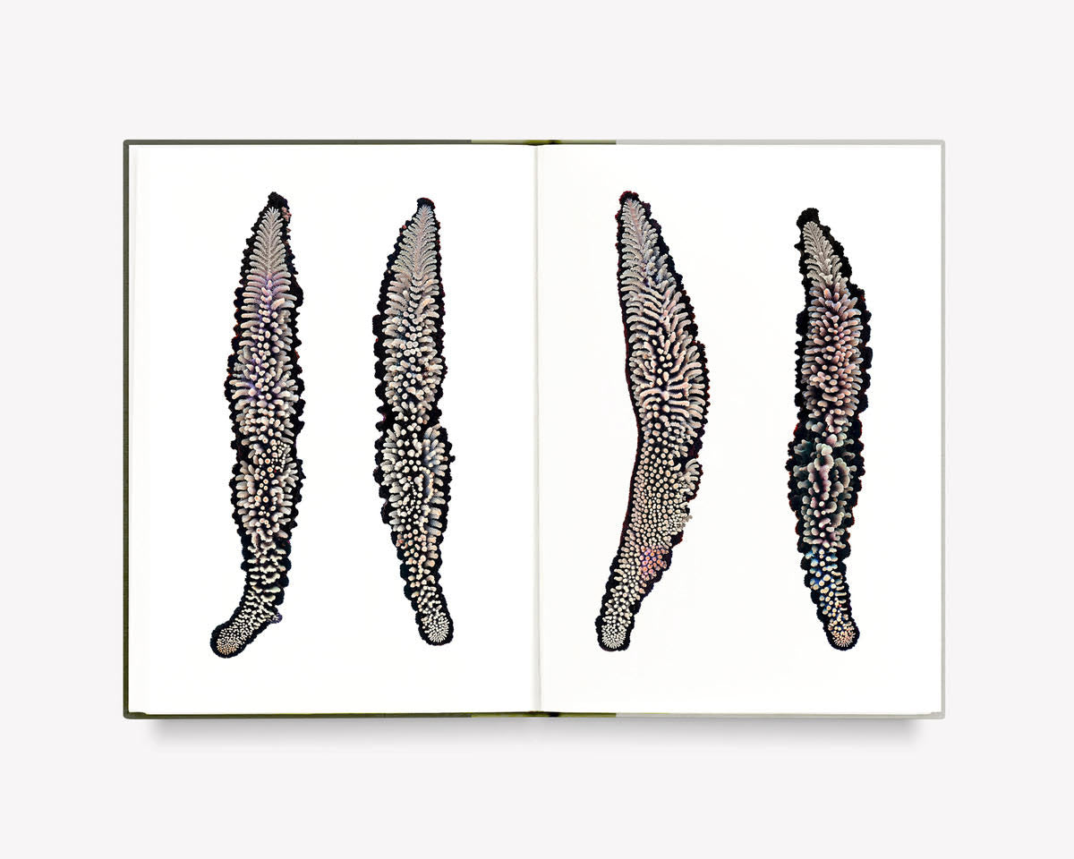 What Darwin Missed, Teil III [Signed]