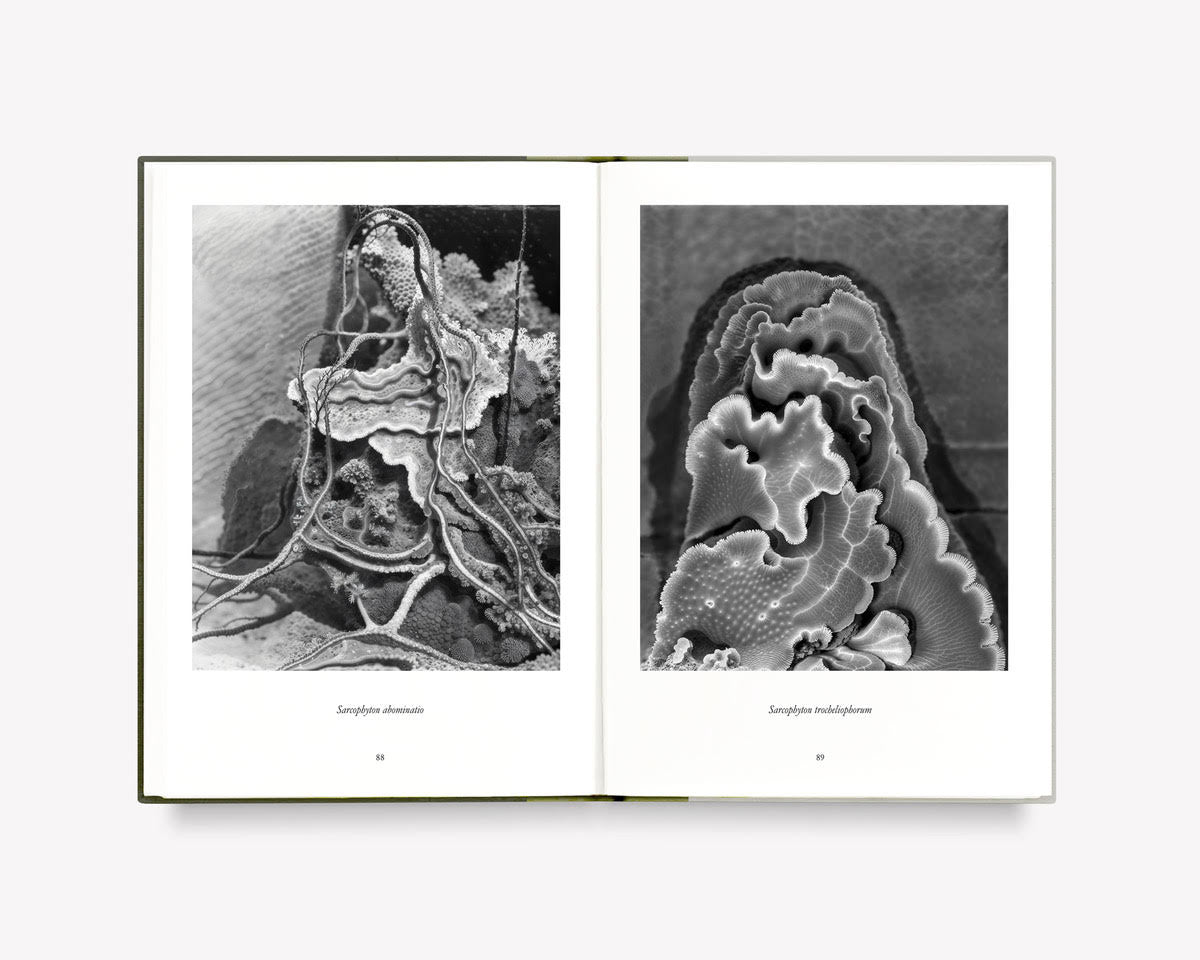 What Darwin Missed, Teil III [Signed]