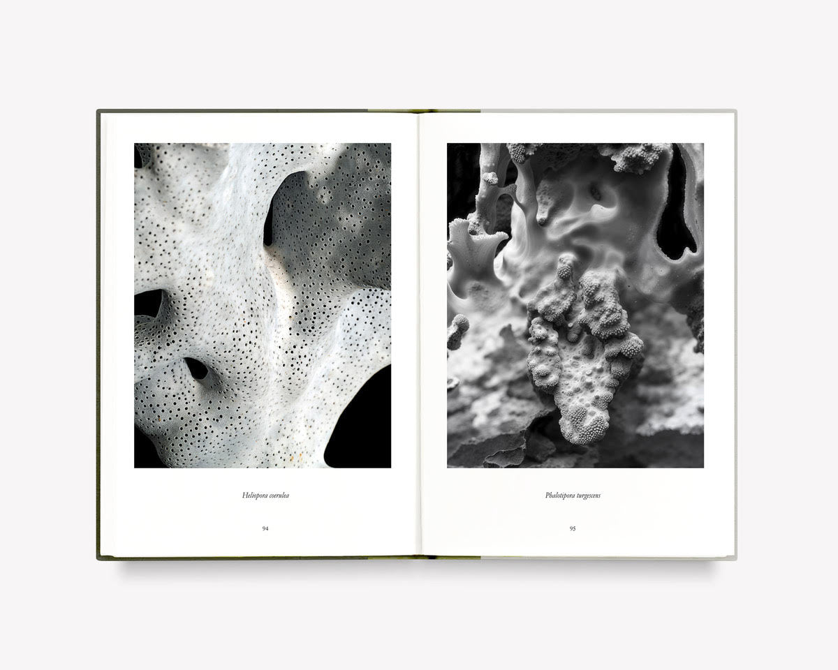 What Darwin Missed, Teil III [Signed]
