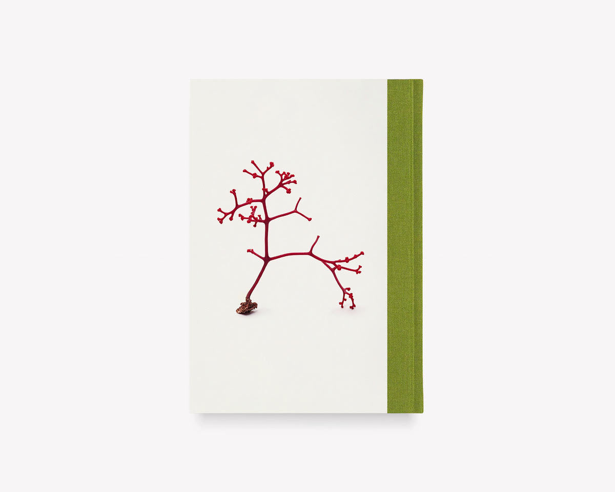 What Darwin Missed, Teil III [Signed]