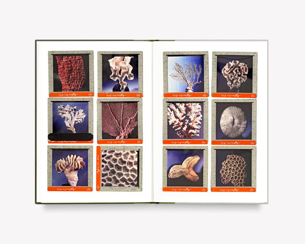 What Darwin Missed, Teil III [Signed]