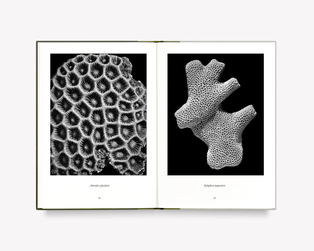 What Darwin Missed, Teil III [Signed]