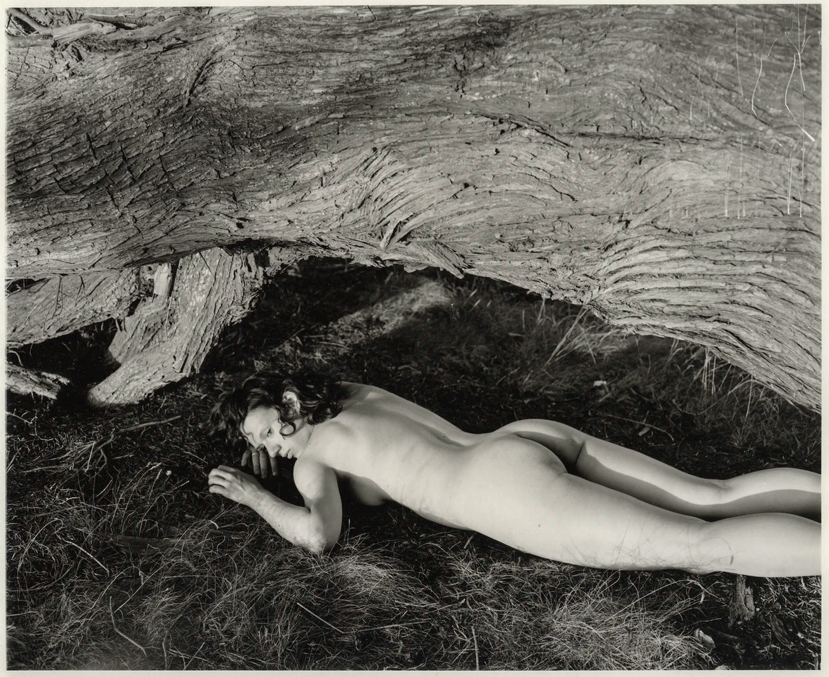 Untitled — Kristina Podobed
