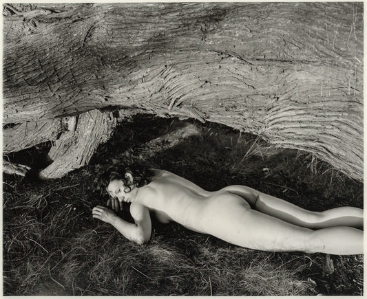 Untitled — Kristina Podobed