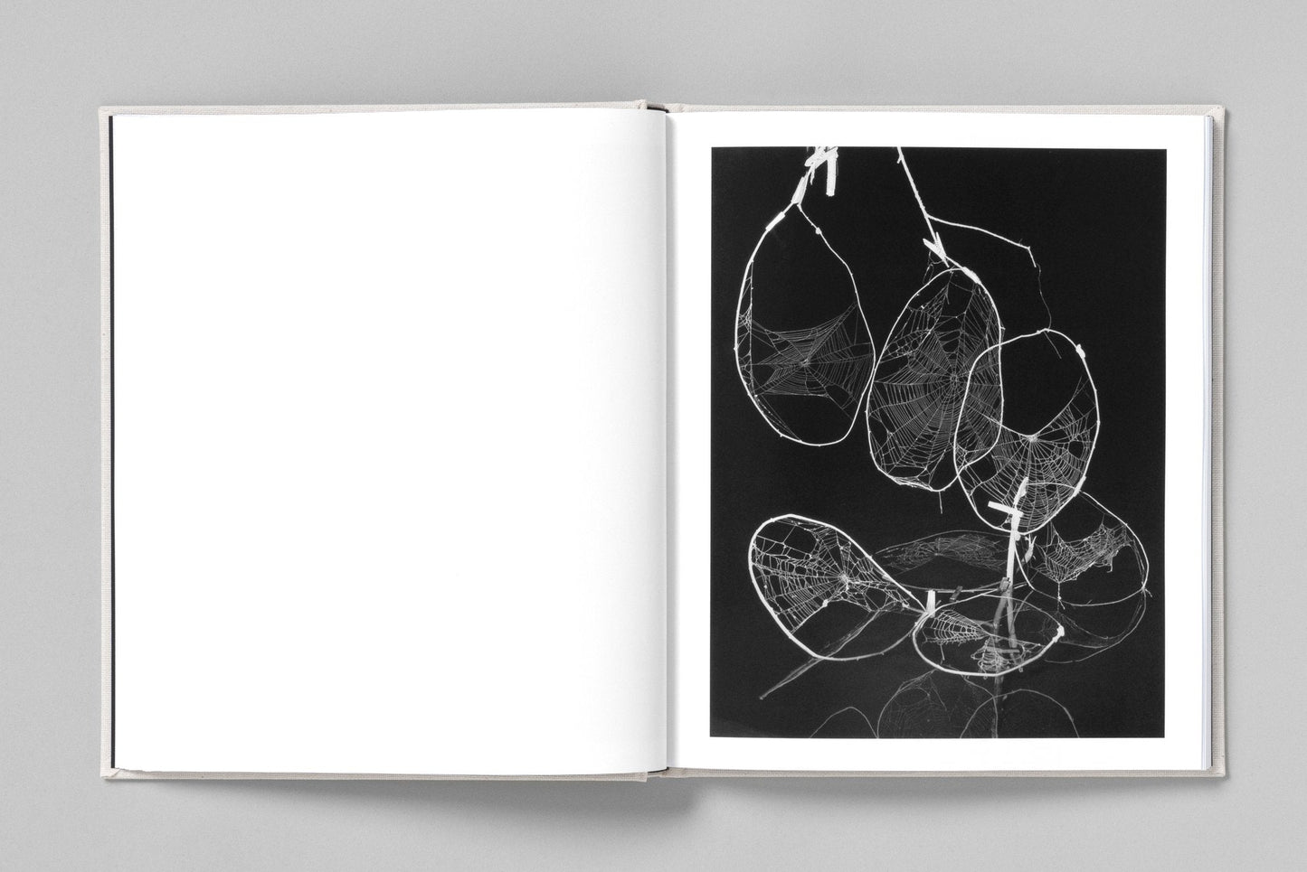 AT NIGHT GARDENS GROW [Signed]