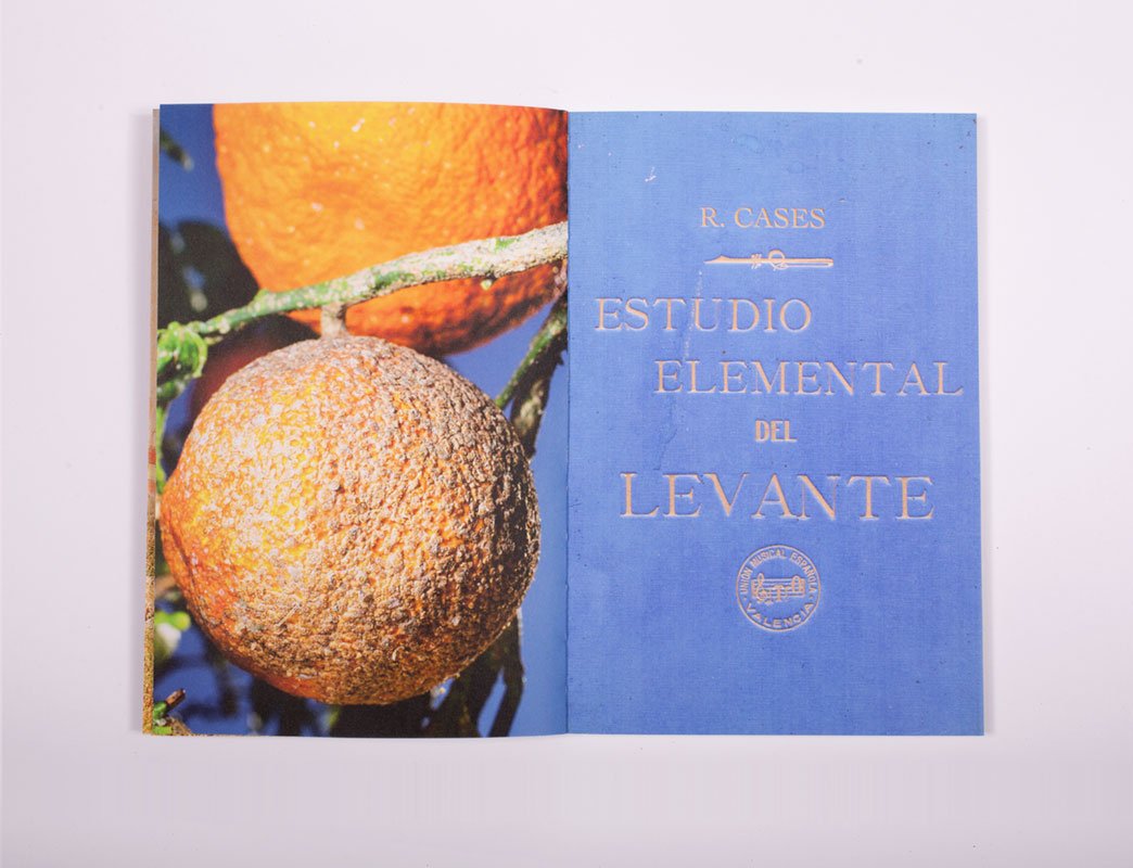 Estudio elemental del Levante