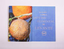Estudio elemental del Levante