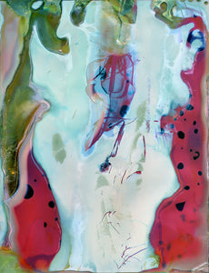 COLOR PHOTOGRAPHS - signed