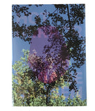 Hot Mirror - signed copy