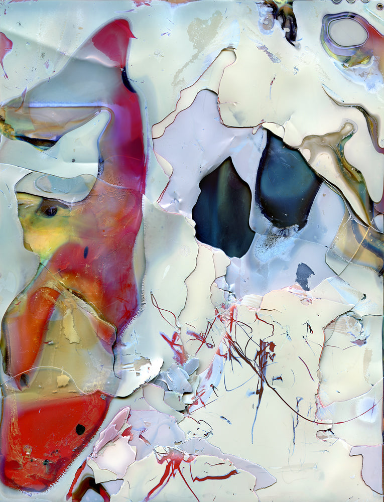 COLOR PHOTOGRAPHS [Signed]