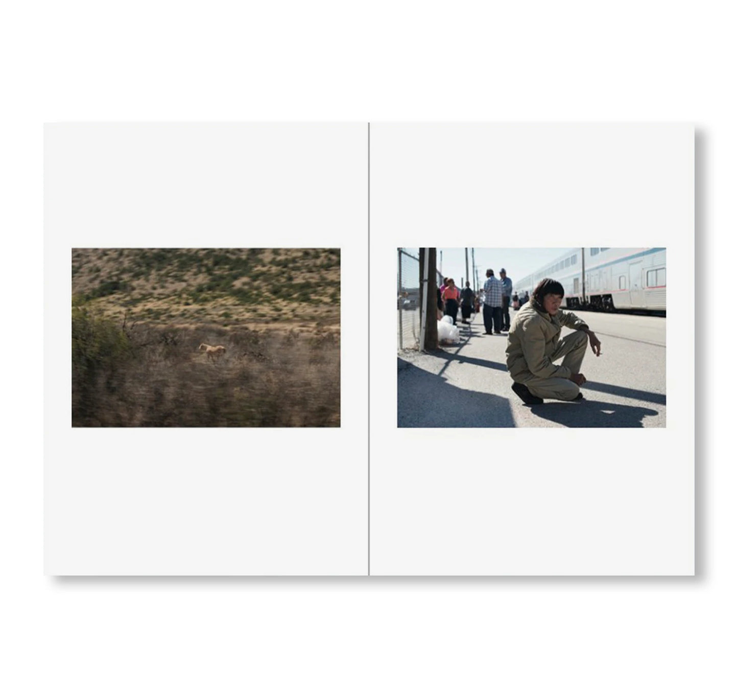 One Picture Book Two #28 : If You Want to Ride [Signed]