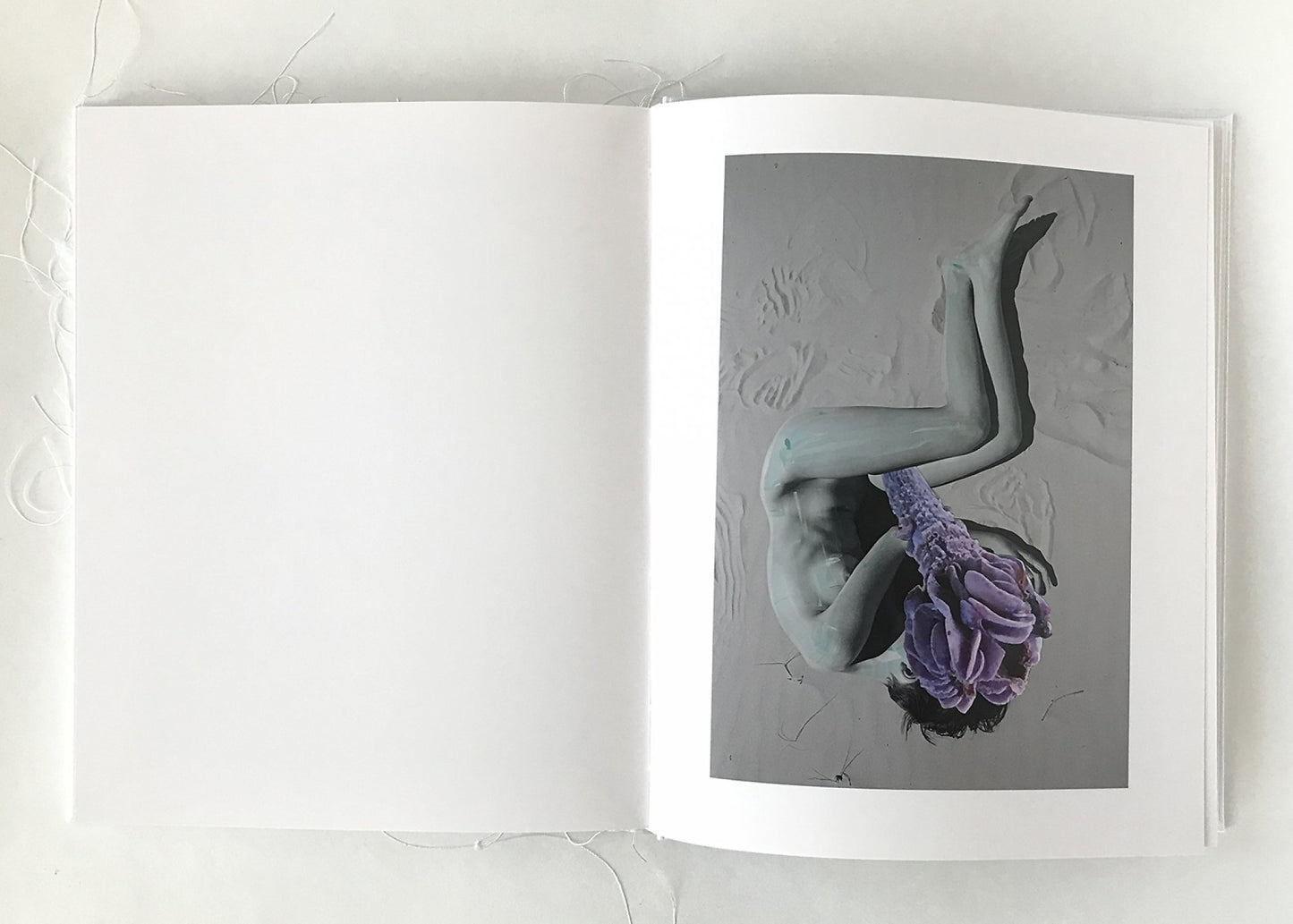 Of Mud and Lotus [Signed]