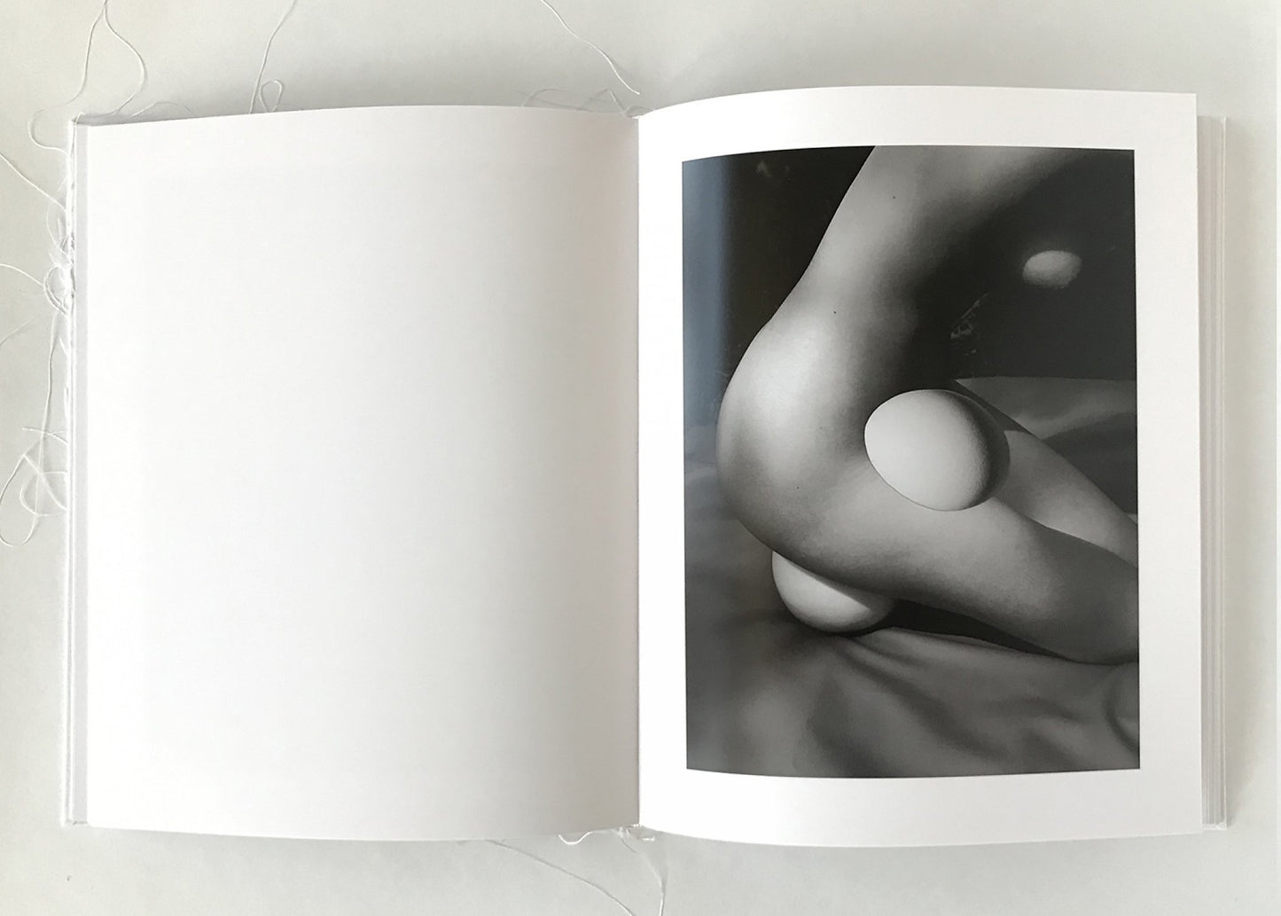 Of Mud and Lotus [Signed]