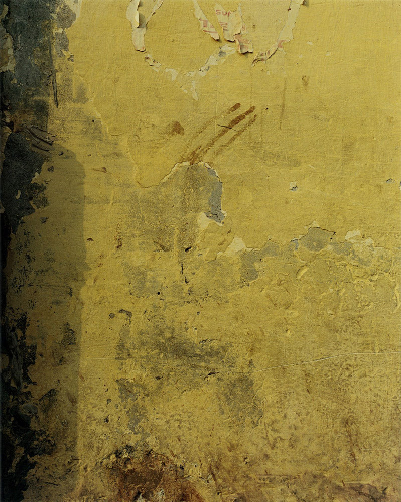 PAINTINGS [Signed]