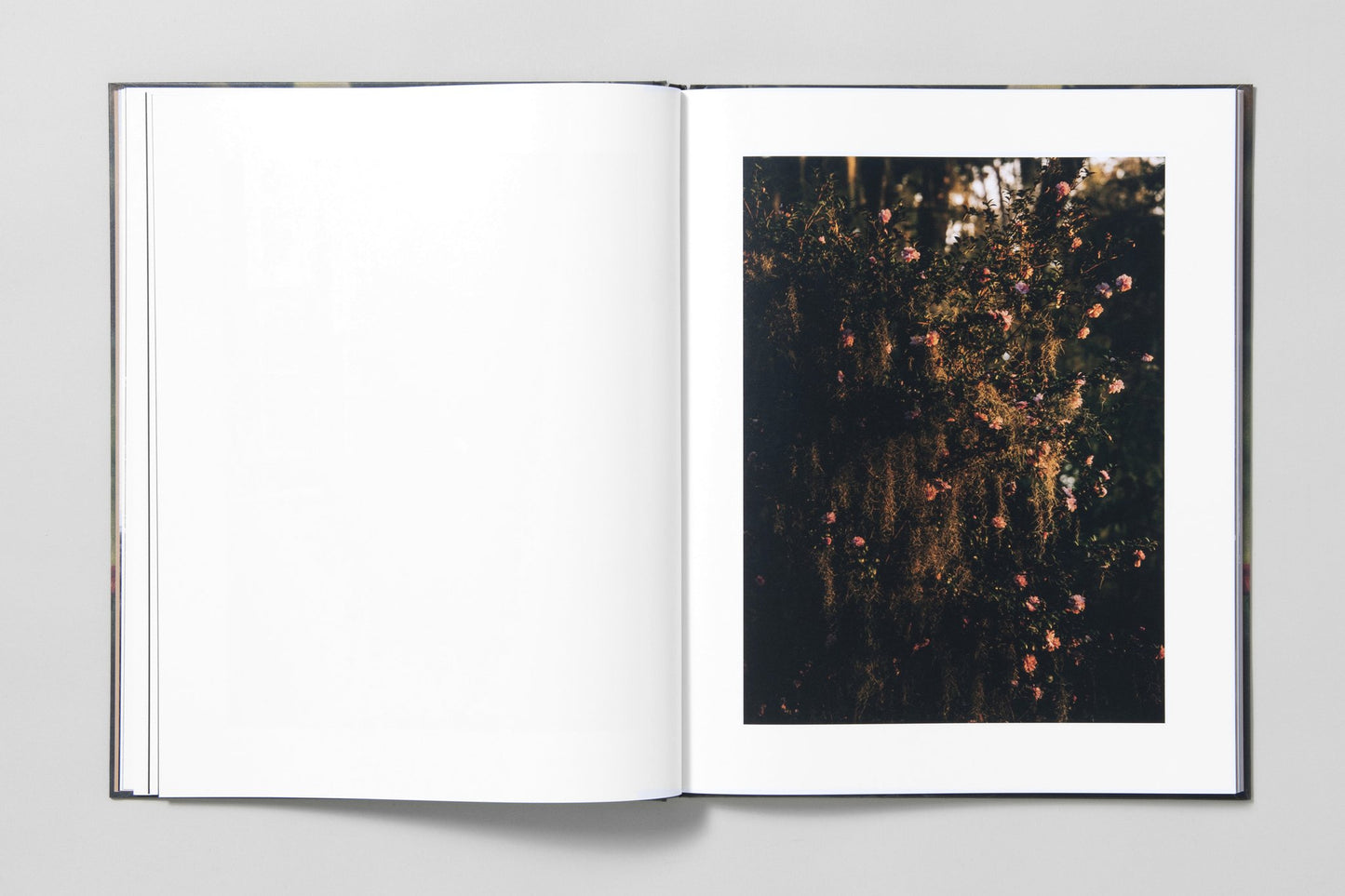 Blackwater River - Artist Edition