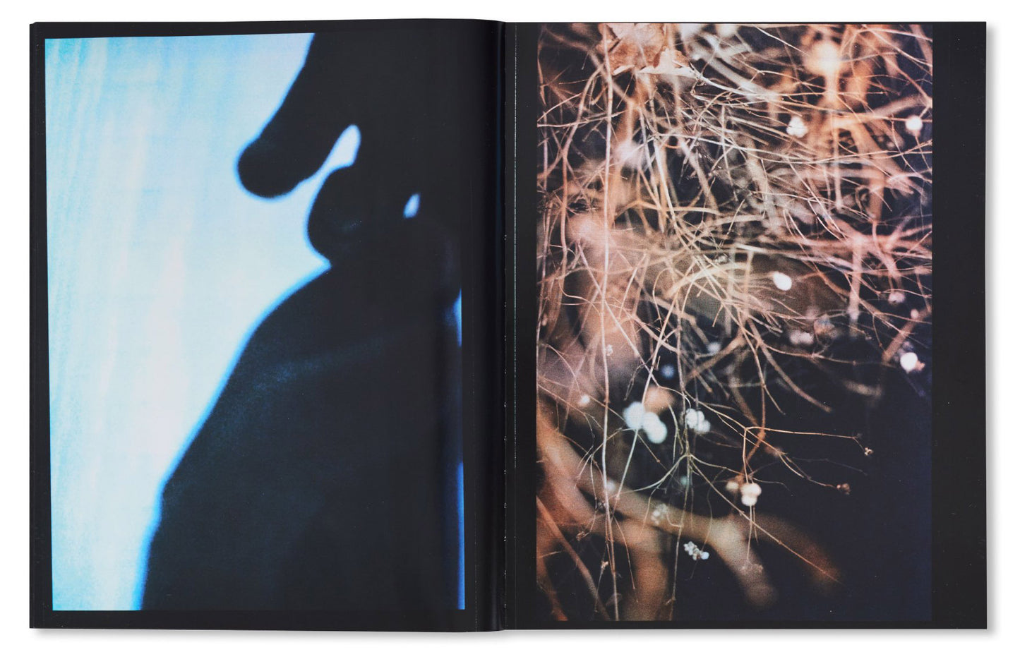 100 Bilder [Signed]