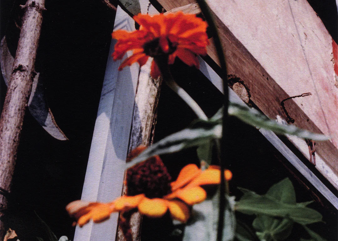 Song Flower - Print edition