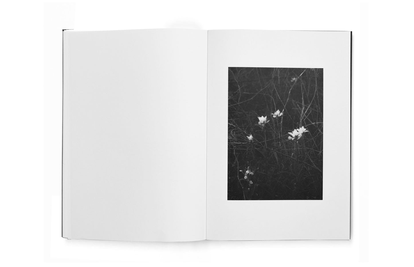 Good Goddamn - First edition [Signed]