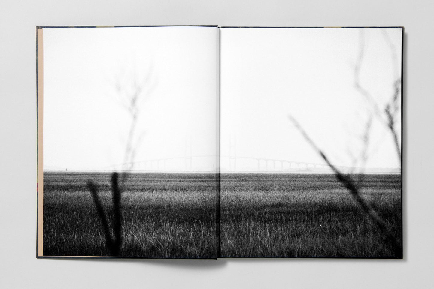 Blackwater River - Artist Edition