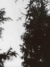RELACIÓN - signed