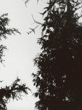 RELACIÓN - signed