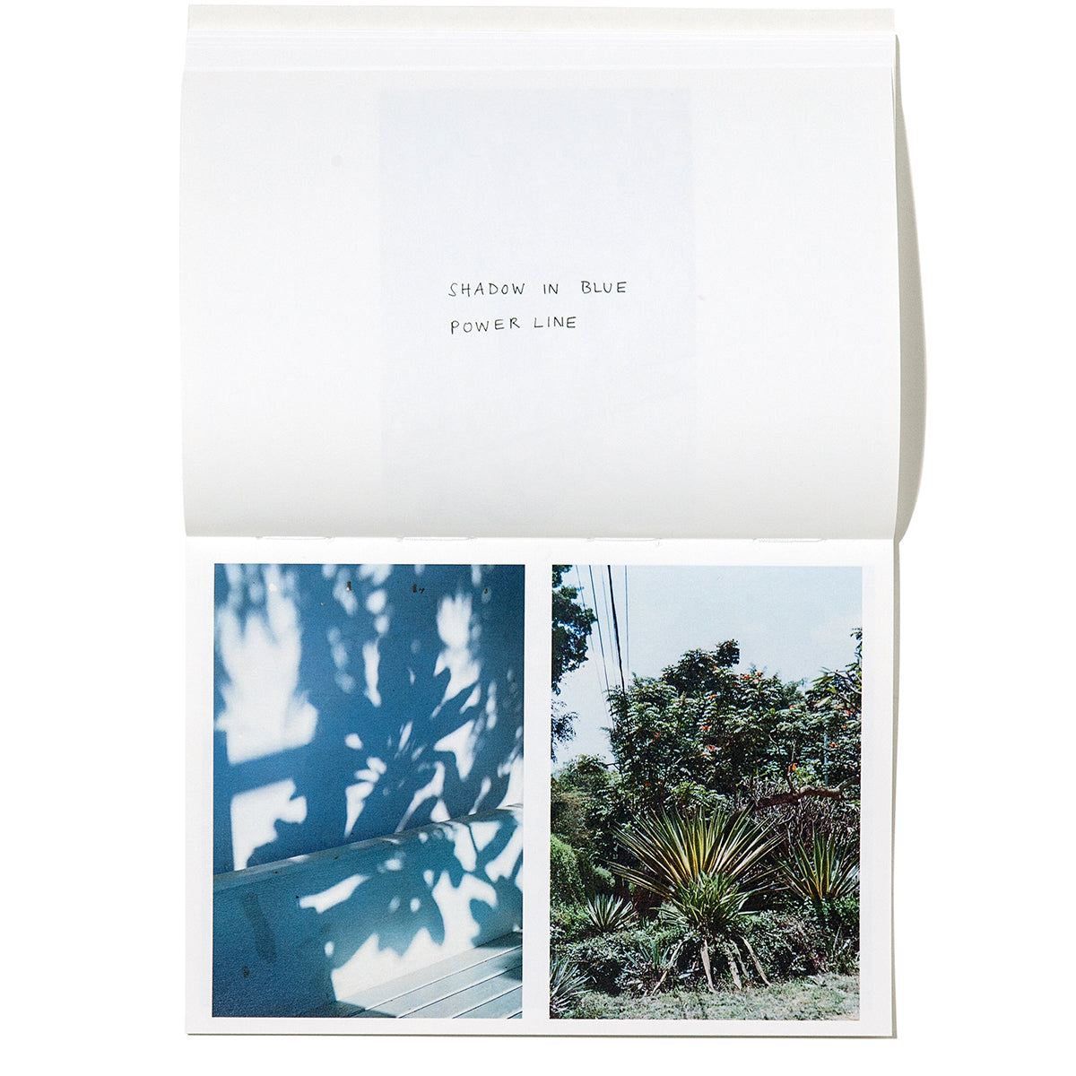 FUGE [Signed]