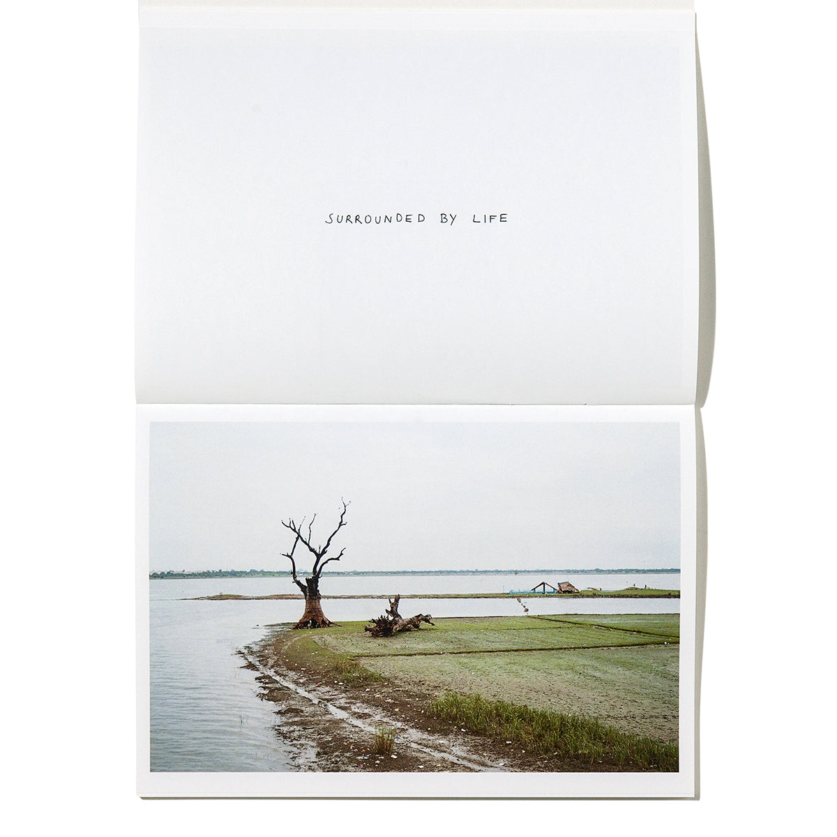 FUGE [Signed]