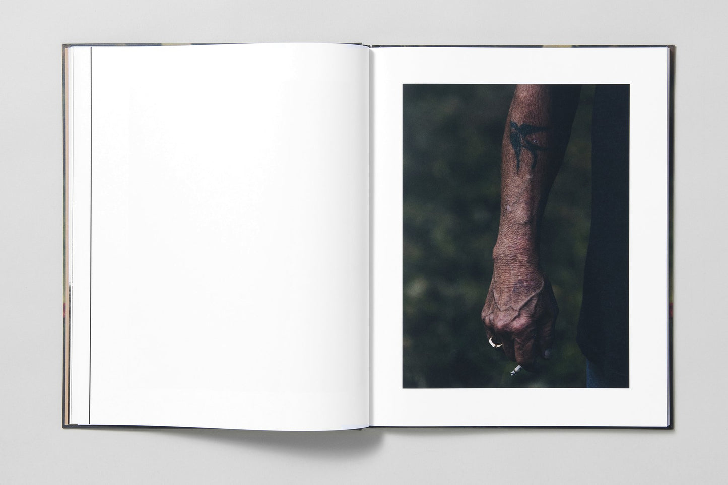 Blackwater River - Artist Edition