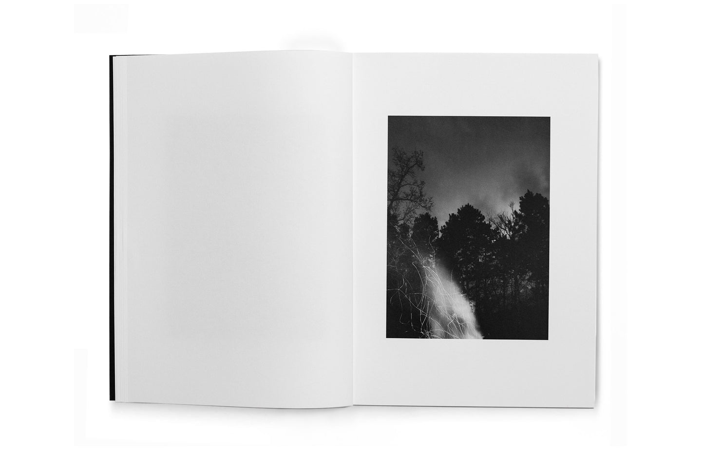 Good Goddamn - First edition [Signed]
