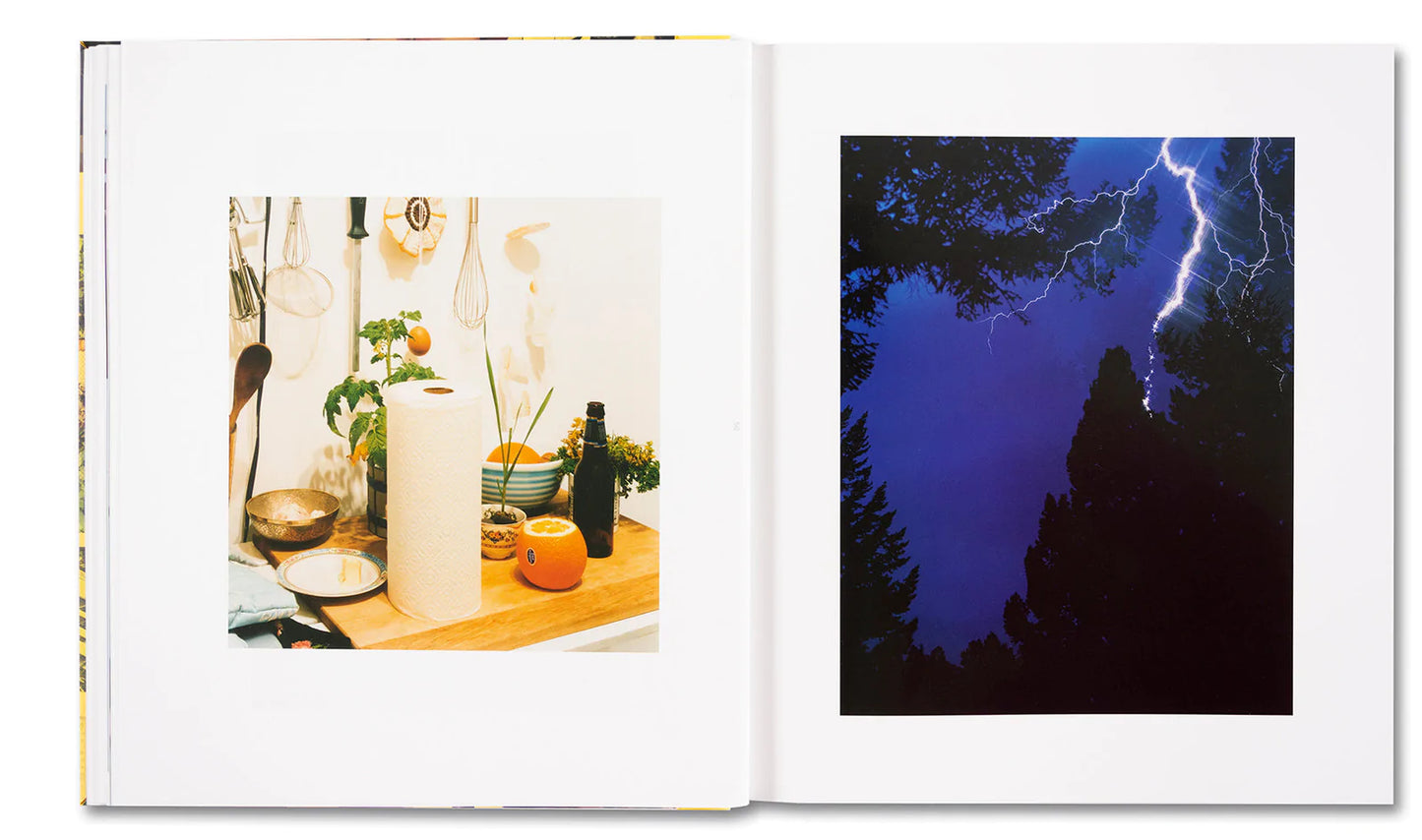 AMERICAN POLYCHRONIC [Signed]