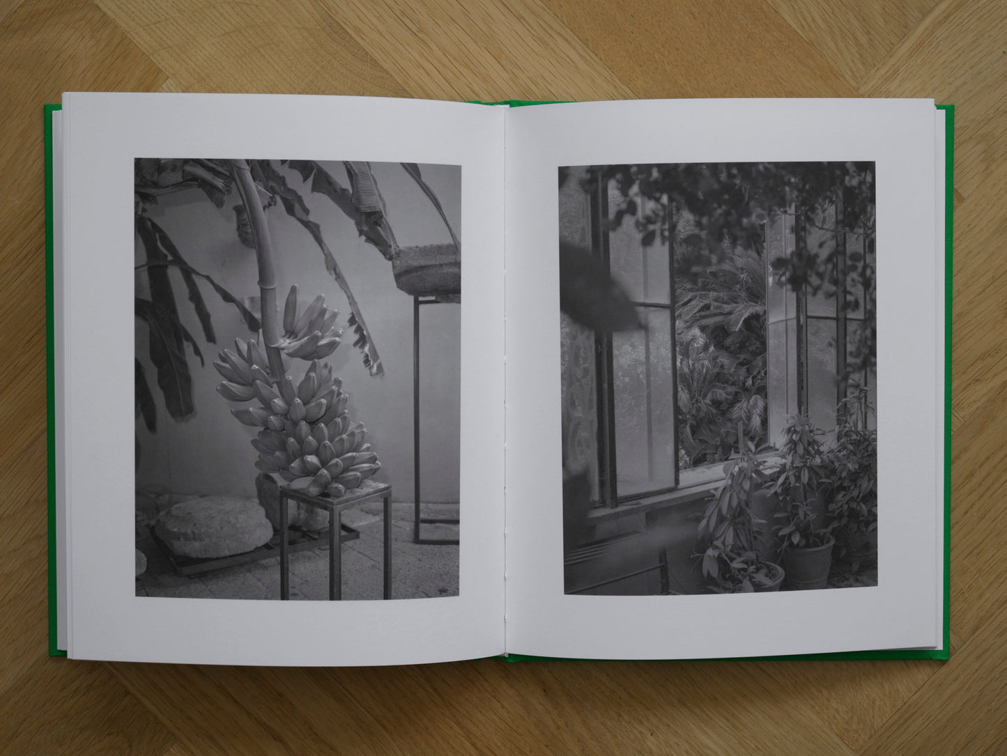 Fiat Panda and the Shadows [Signed]